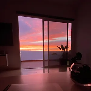 https://tico-boreal.in-canary-islands.com